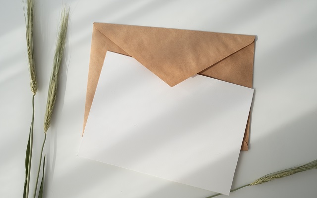 carta de motivación