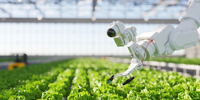 ¿Cómo puedo trabajar en el campo de la Inteligencia Artificial?