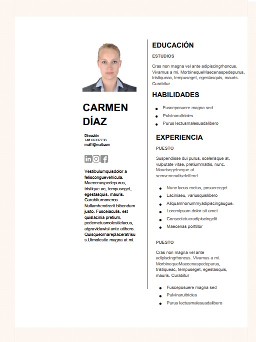 plantilla cv